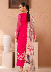 Winter - Marjjan - Amani - Viscose 25 - MSV#02 A (PINK)