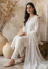 Formals - Bahawalpur Pehnawa - Georgette Chiffon - 2 piece - JC#03