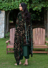 Winter - Parishay - Panache - Palachi Shawl 25 - PNE#11