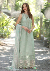 Lawn - Noor by Saadia Asad - Eid Luxe - Printedkari 25 - D#6-A