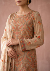 Formals - Fancy Georgette Chiffon Embroidered - 3 Pcs Suit - D#01 - Skin