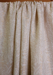 Pashmina Zari Jamawar Shawl D#06 - Off White 4