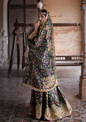 Formal Collection - MNR - Zarlish 23 - Koyal - D#04