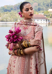 Lawn - Hussain Rehar - Luxury Lawn 25 - Mari