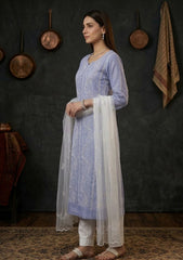 Formals - Riwaj - Fancy 26 - Ari & Mukesh Work - 2 Pcs - D#01 - Blue 2