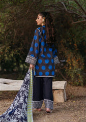 Lawn Collection - Zainab Chottani - Tahra Lawn 24 - ZCT24#10B