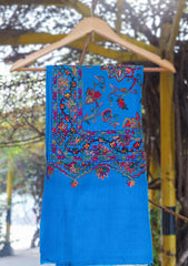 Pashmina Ari Work Shawl D - 108 - D Ferozi