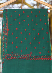Pure Pashmina Kashmiri Work Shawl D - 59B - B Green