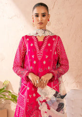 Winter - Marjjan - Amani - Viscose 25 - MSV#02 A (PINK)