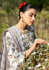 Lawn - Alizeh - Sheen Prints 25 - AF-PL-6040 - Alaska