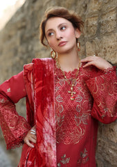 Winter - Rang Rasiya - Carnation 25 - Luxury Shawl Edit - CWD#02 - Cold Brew