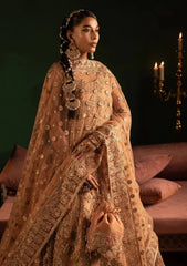 Pret - Diara Couture - Festive 25 - WC-2#06 - AYLA