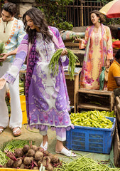 Lawn - Mushq - Hemline - La Dolce - Prints - D#8B - Piera