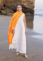 Lawn Collection - Zainab Chottani - Chikankari 24 - ZCC#3B - Chunari