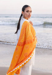 Lawn Collection - Zainab Chottani - Chikankari 24 - ZCC#3B - Chunari