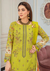 Winter Collection - Zara Meer - Karandi - ART#04