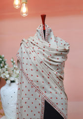 Pashmina Kashmiri Work Shawl D - 0004 - Skin