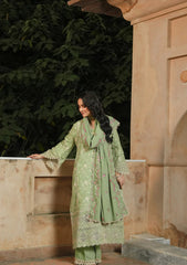 Winter Collection - MM Manara - Vintage Karandi Fall 24 - D#6 - Anaya