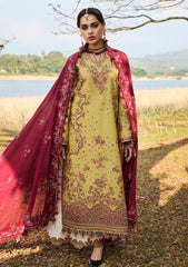 Lawn - Hussain Rehar - Luxury Lawn 25 - Minted