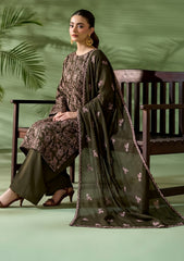 Winter - Rubaaiyat - Pashmina Embroidered 26 - D#10 - Mehndi