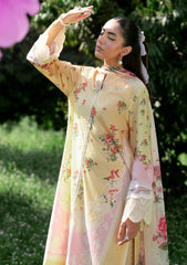 Lawn Collection - Sardinia - Cocktail - SC24#303 - DAISY