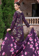 Winter - Al Zohaib - Colors Linen - Edit 25 - CL#12