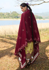 Lawn - Hussain Rehar - Luxury Lawn 25 - Minted