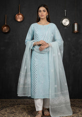 Formals - Riwaj - Fancy 26 - Ari & Mukesh Work - 2 Pcs - D#01 - Ferozi