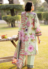 Lawn - Alizeh - Sheen Prints 25 - AF-PL-6034 - Cleo