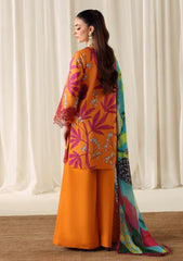 Winter - Naqsh - Zyrah 25 - D#189 - LAVA ORANGE