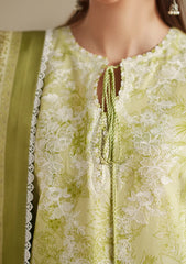 Lawn - Bin Ilyas - Jojo Summer 26 - D#86-B