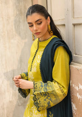 Winter - Sahar - Viscose/Winter - Unstitched 25 - AW2-25-11 - Rosemary Night