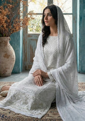 Formals - Bahawalpur Pehnawa - Georgette Chiffon - 2 piece - JC#09