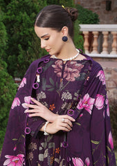 Winter - Al Zohaib - Colors Linen - Edit 25 - CL#12