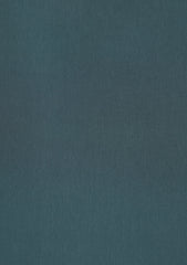 Elite Men Canybo Antistatic Finish Plain Wash & Wear Fabric - Z Grey