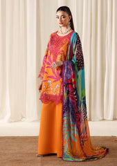 Winter - Naqsh - Zyrah 25 - D#189 - LAVA ORANGE