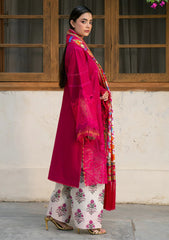 Winter - Bin ILyas - Gulrukh Khaddar 25 - BGK#66-B