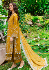 Winter - Marjjan - Bella 25 - Embroidered Karandi - MWK#38 A - MUSTARD