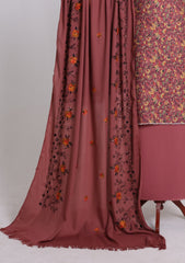 Winter - Riwaj - Printed Cotray Suit - Wool Shawl - D#15 - DT Pink
