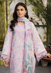 Lawn - Rang Rasiya - Lifestyle - Summer Edit 25 - D#12 - Blush