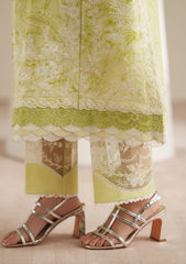 Lawn - Bin Ilyas - Jojo Summer 26 - D#86-B