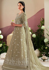 Formals - Alizeh - Reena - Eid Edit 25 - Vol 4 - D#4040 - Tunic