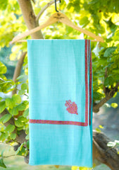 Pashmina Emboridered Shawl D - 01 - Ferozi