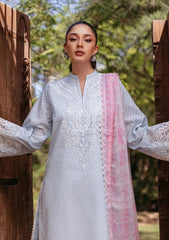 Lawn Collection - Zainab Chottani - Tahra Lawn 24 - ZCT24#9B