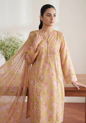 Formals - Rubaaiyat - Shamoz Silk 26 - RSS#02 - Mustard
