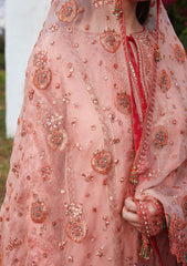 Lawn Collection - Hussain Rehar - Eid Luxury 24 - Nayra