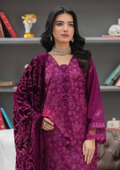 Winter - Meemsey - Monal 25 - Velvet Shawl - MVS#01