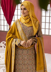 Winter Collection - Riaz Arts - DastKari - D#04