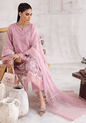 Winter Collection - Nureh - Exclusive - Karandi - NE#43