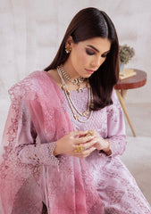 Winter Collection - Nureh - Exclusive - Karandi - NE#39